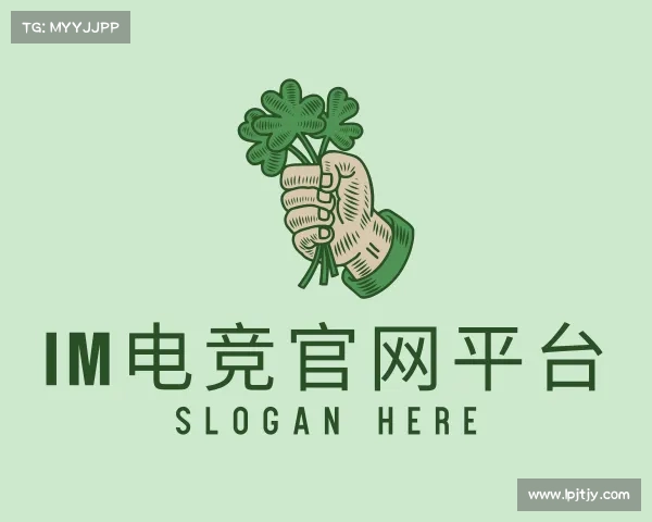 了解im电竞官网下载